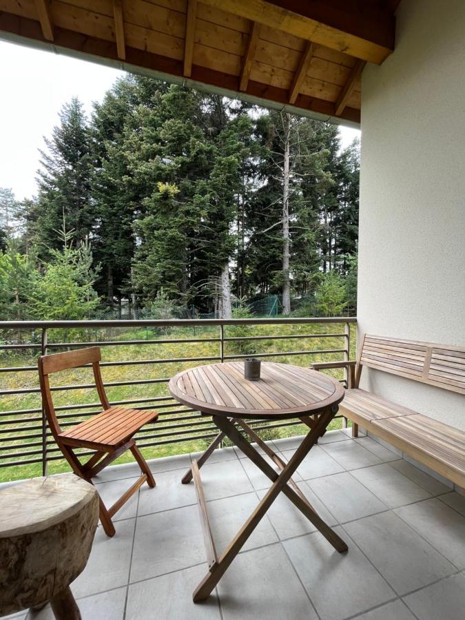 "Les Oiseaux" Avec Terrasse, Parking, Duplex Apartment Le Chambon-sur-Lignon Ngoại thất bức ảnh